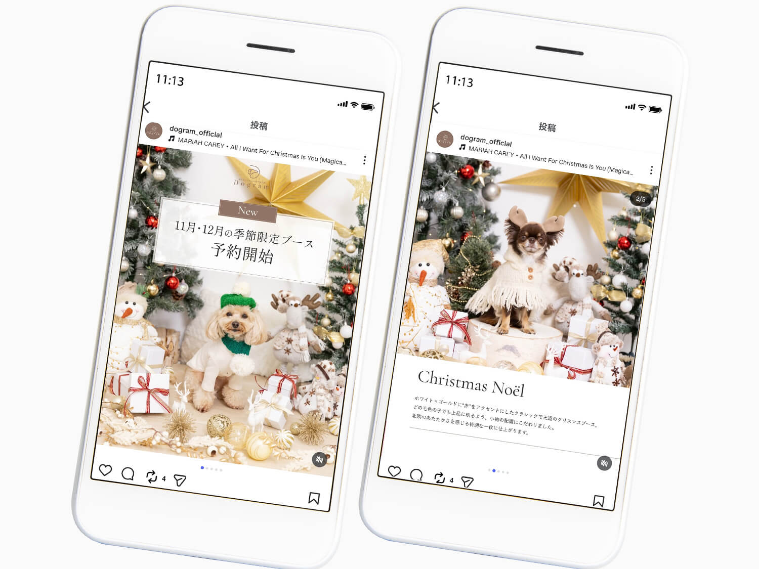 Dogram様Instagram投稿