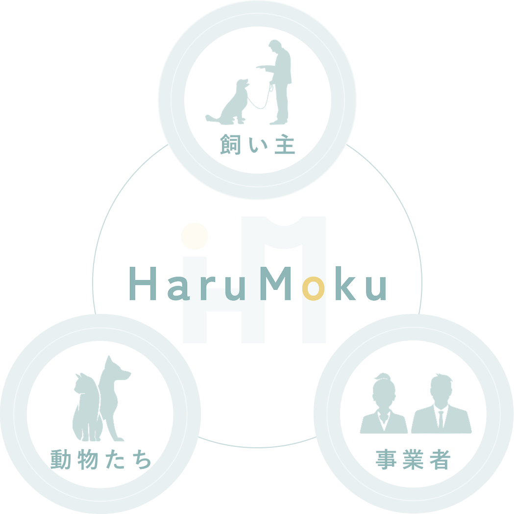 ハルモクが大事にしていることの図解